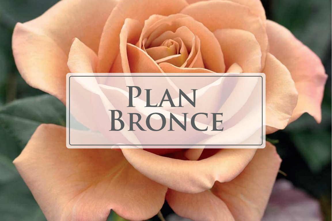 Plan Bronce