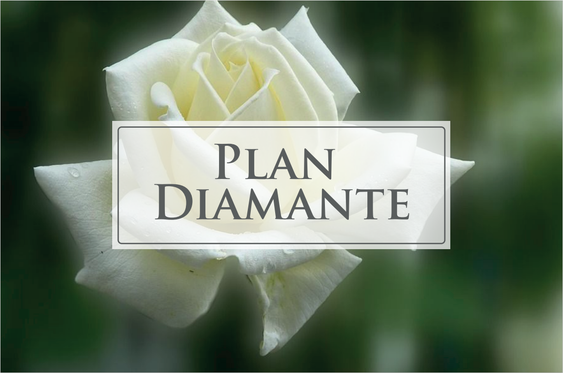 Plan Diamante