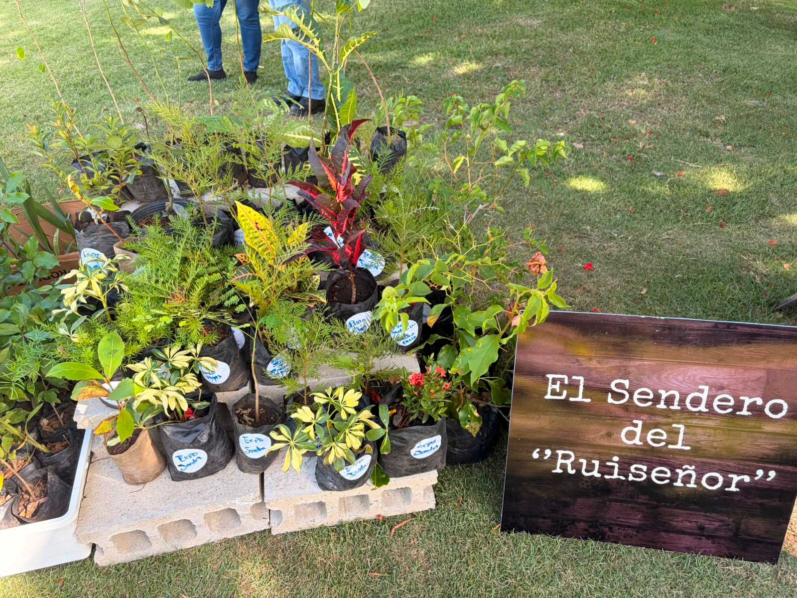 Sendero Ruisenor FDL (1)